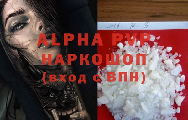 ешки Белокуриха