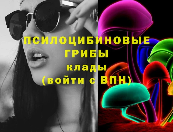 ешки Белокуриха