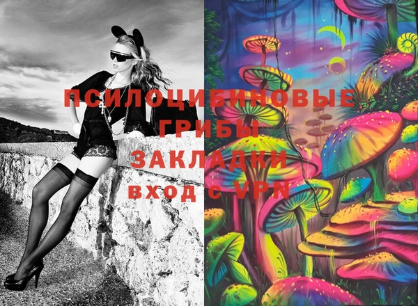 ГАЛЛЮЦИНОГЕННЫЕ ГРИБЫ Беломорск