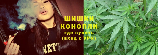 ГАЛЛЮЦИНОГЕННЫЕ ГРИБЫ Беломорск