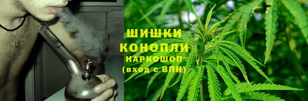 ГАЛЛЮЦИНОГЕННЫЕ ГРИБЫ Беломорск