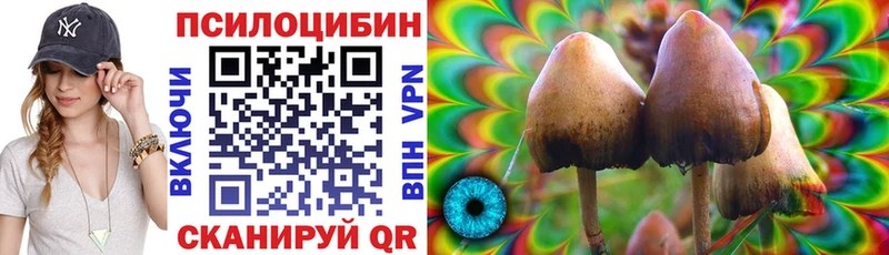 купить  сайты  Пикалёво  Галлюциногенные грибы мицелий 